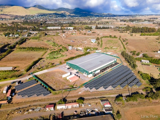 La'au Pono